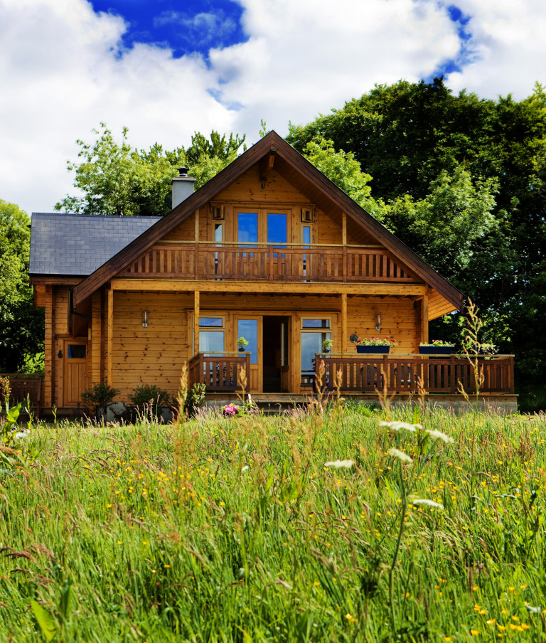 Log_Cabin_Ireland_Livingston_3.jpg